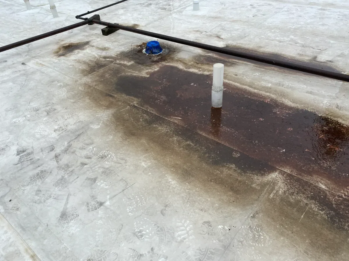 Ponding Water Roof Repair in Jersey City, NJ