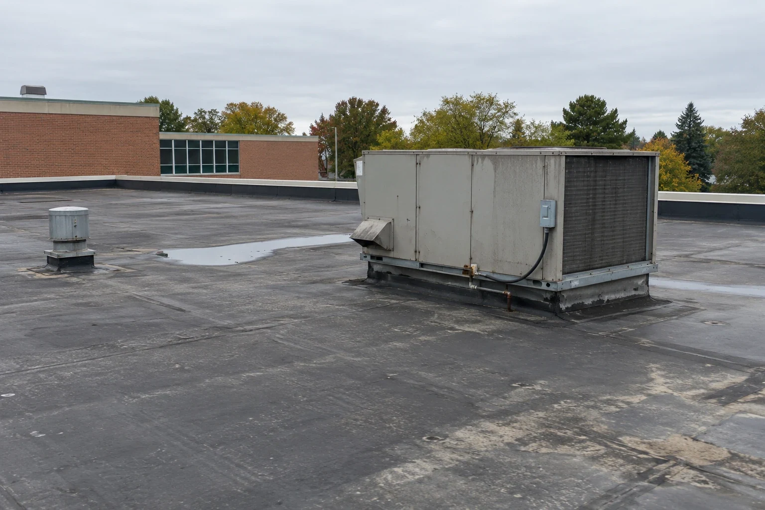 Roofing for School Districts in Jersey City, NJ