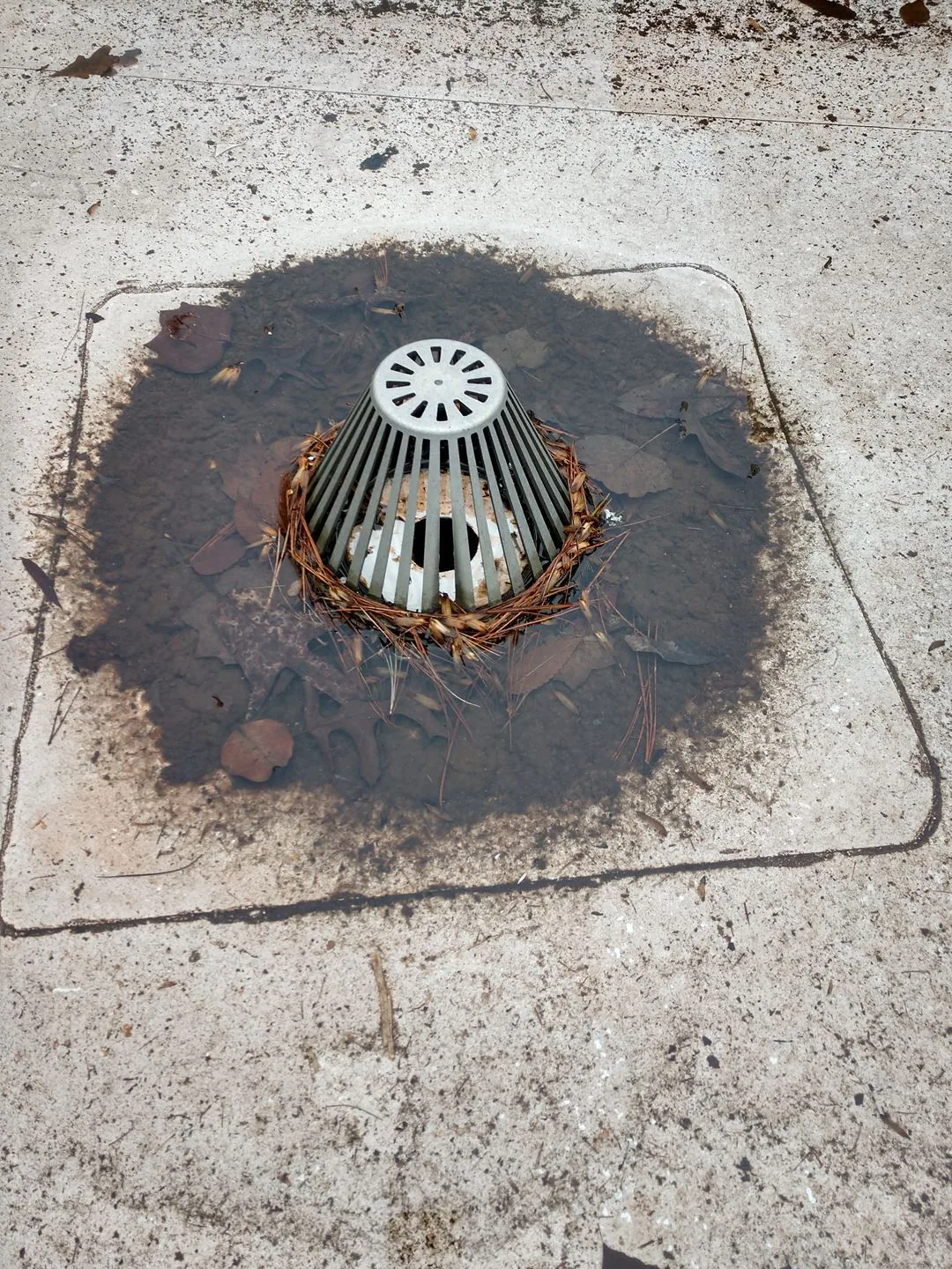 Commercial roof drain